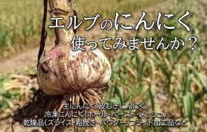 2024.05.24投稿のサムネイル